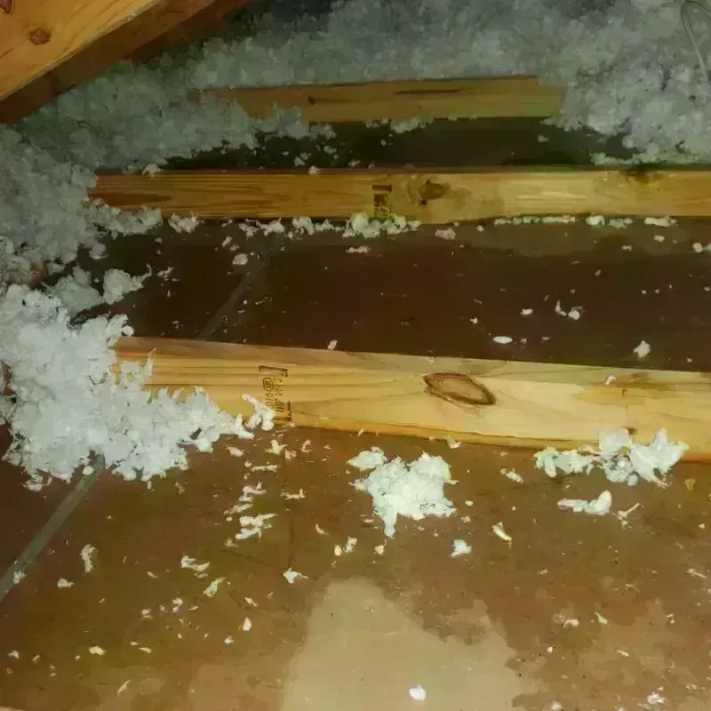 Attic Water Damage in Harker Heights, TX